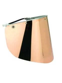 RUIT PC GROEN GOUDBEDAMPT